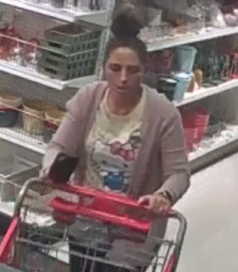 Help Solve The Target Heist Suffolk County Police Seek Public S Aid In