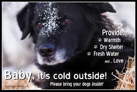 Nassau County SPCA: Please Bring Your Pet Inside | LongIsland.com