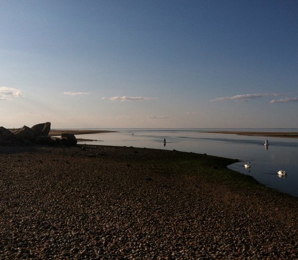 Schumer: Federal Funds to Help Keep Long Island Beaches Clean from ...