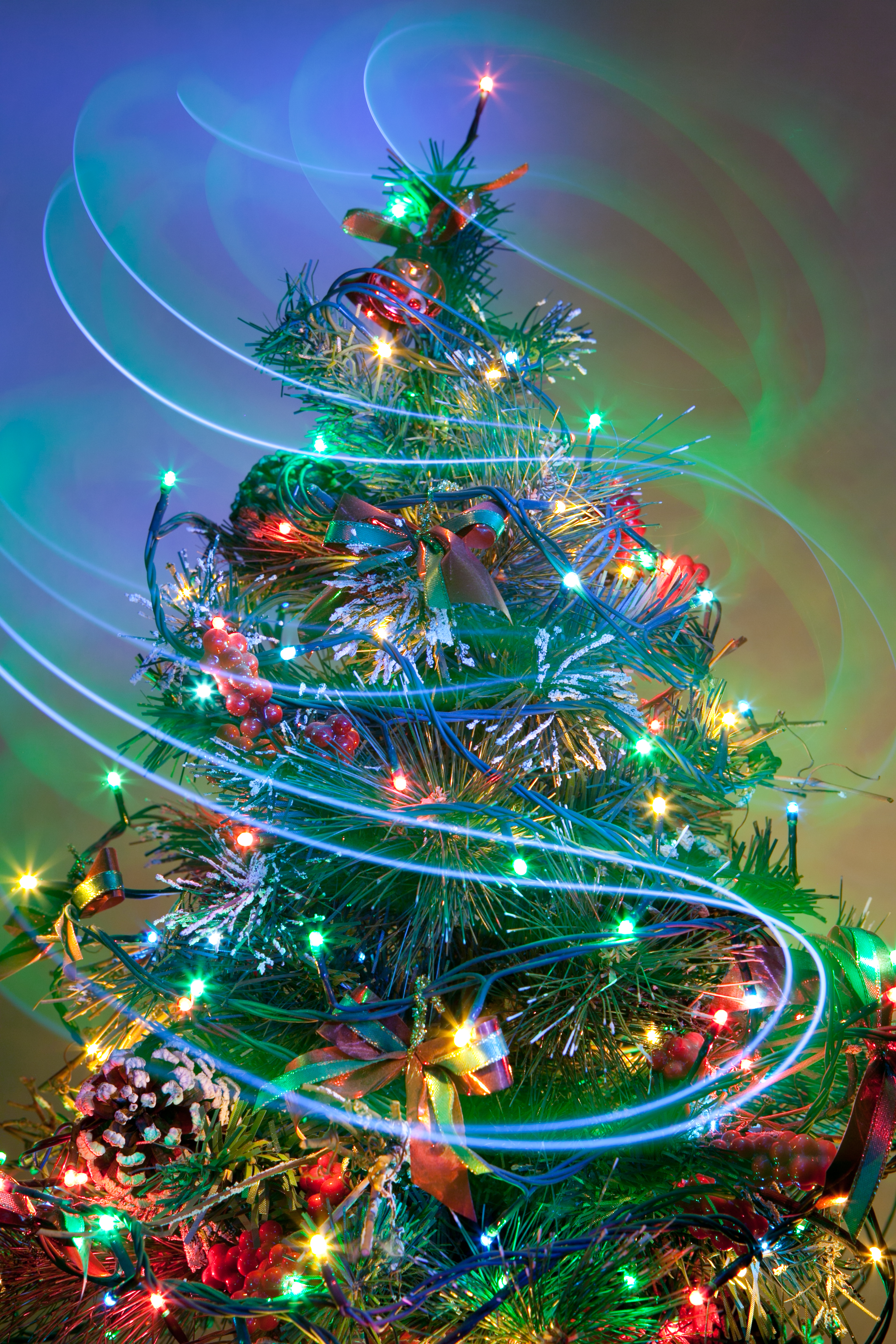 'Tis the Season for Christmas Tree Lightings