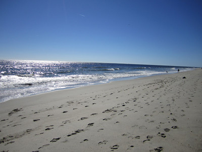 Nassau County Beach Closures Due to Bacteria | LongIsland.com