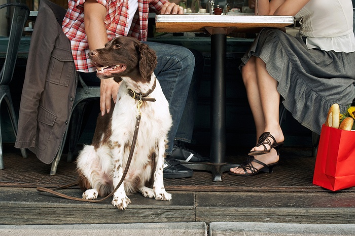 are dogs allowed in the wineries on long island