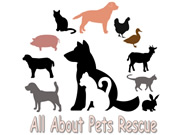 All About Pet Rescue