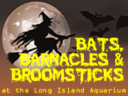 Bats, Barnacles, & Broomsticks at the LI Aquarium