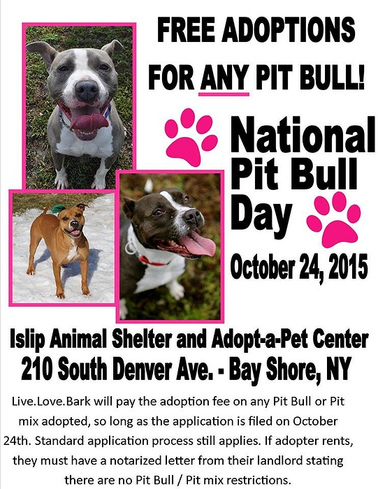 National Pit Bull Day - Free Adoptions