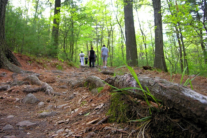 Cold Spring Harbor Hiking Trail Trail View To Cold Spring Harbor And Back