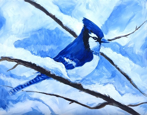 Paint a Blue Jay step-by-step  Blue jay art, Blue jay, Bird drawings