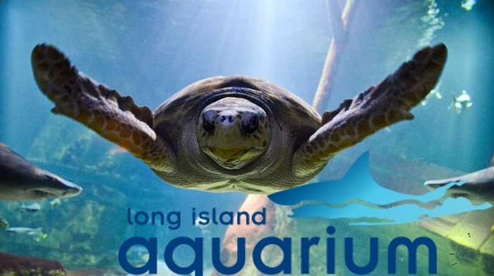 Explore the Aquarium - Long Island Aquarium