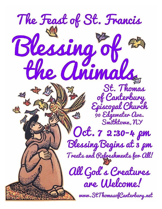 Blessing of the Animals Feast of St Francis