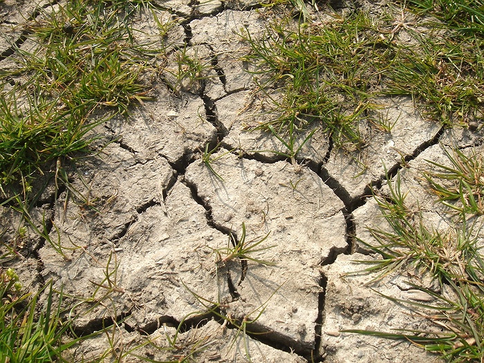 Short Film Screening: All About Weathering & Erosion