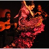 Pedro Cortes Flamenco Ens