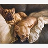 Animal Oil Painting Works