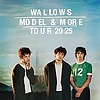 Wallows: Model & More Tou