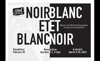 Noir et Blanc - A Black & White Photography Exhibit