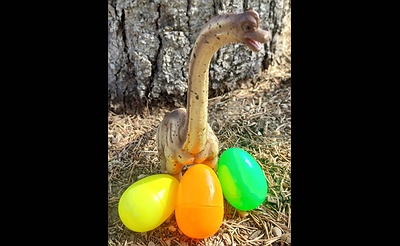 Dino Egg Hunt